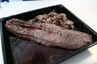 Dyreryg med tranebærsauce og rødkålssalat, billede 2