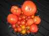 Semi-dried cherry tomater ... klik på billedet for at komme tilbage