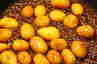 Brunede Kartofler ... klik på billedet for at komme tilbage