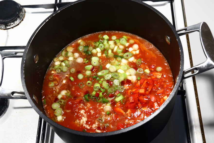 Hjemmelavet tomatsuppe ... klik for at komme tilbage