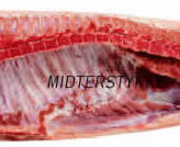 midterstykke