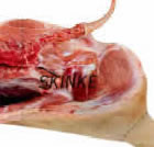 skinkestykke
