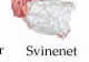 Svinenet