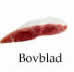 Bovblad