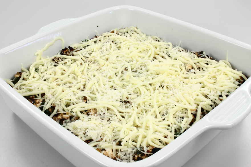 Vegetarisk lasagne ... klik for at komme tilbage