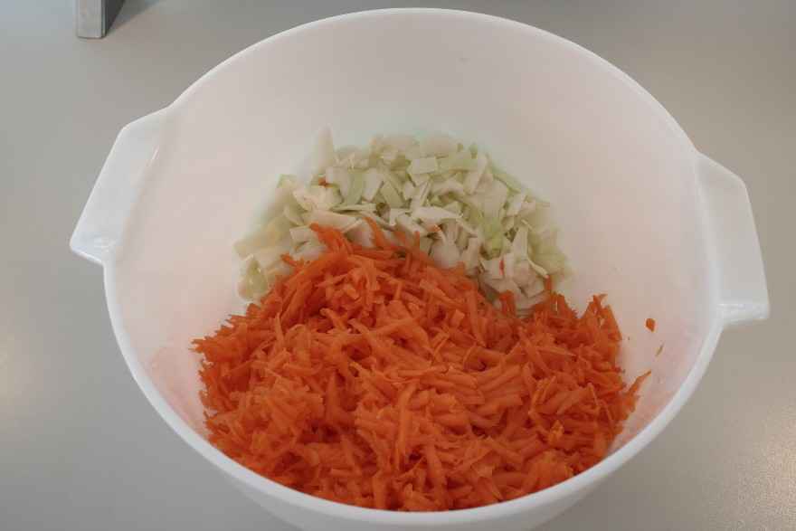 Hvidkålssalat med gulerødder ... klik for at komme tilbage