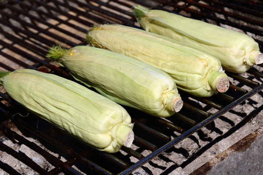 Grillede majs kolber- på -