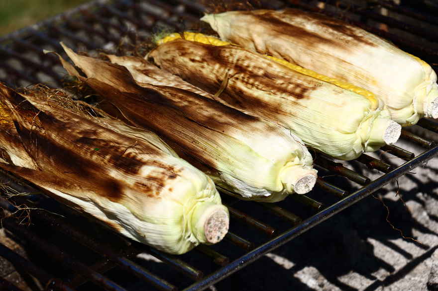 Majs på grill - Grillede majskolber ... klik for at komme tilbage