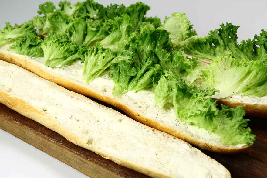 Landgangsbrød ... klik for at komme tilbage