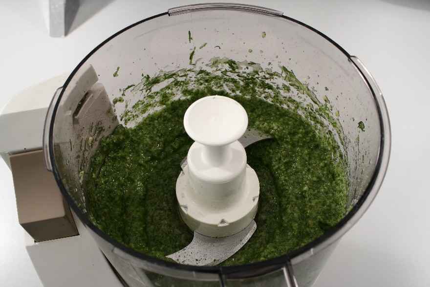 Dildpesto ... klik for at komme tilbage