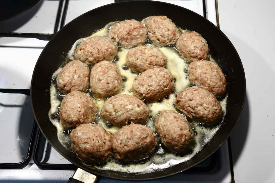 Vildtfrikadeller ... klik for at komme tilbage