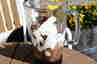 Daim milkshake, billede 1
