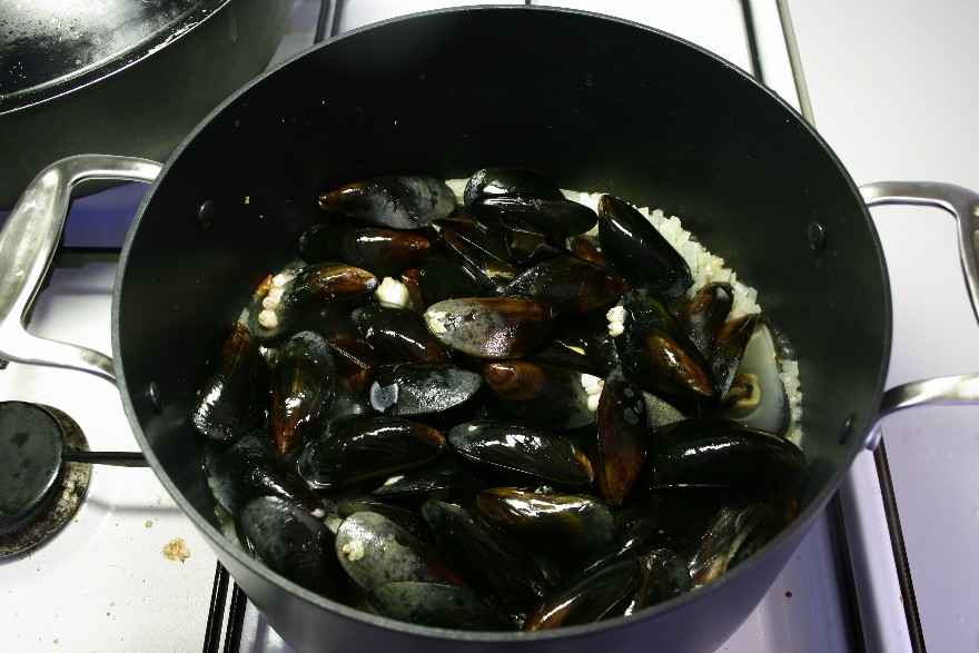 Dampede muslinger ... klik for at komme tilbage