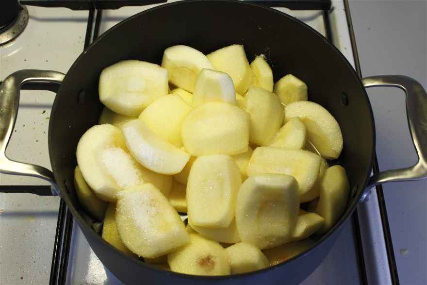 Æblesuppe med sprøde brødterninger ... klik for at komme tilbage