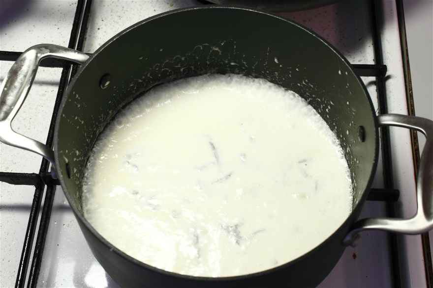 Pasta med gorgonzola ... klik for at komme tilbage
