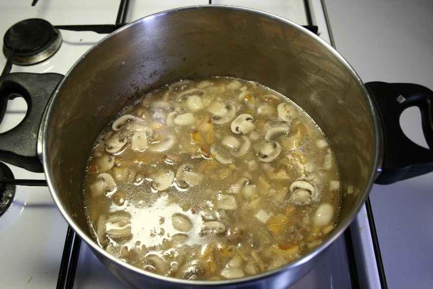 Svampesuppe ... klik for at komme tilbage