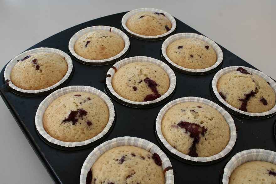 Solbær muffins ... klik for at komme tilbage