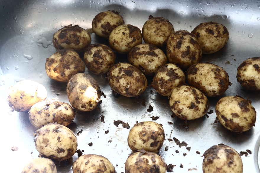 Hakket svinebøf med nye kartofler og brunet smør ... klik for at komme tilbage