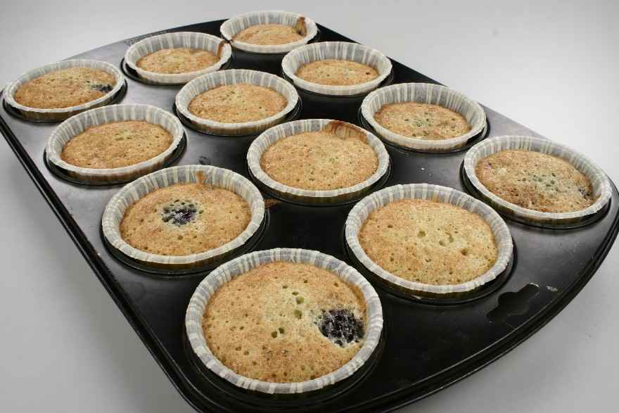 Muffins med brombær ... klik for at komme tilbage