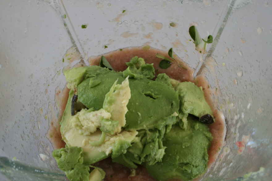 Frisk Guacamole ... klik for at komme tilbage