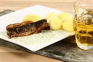 Stegt hornfisk med persillesauce