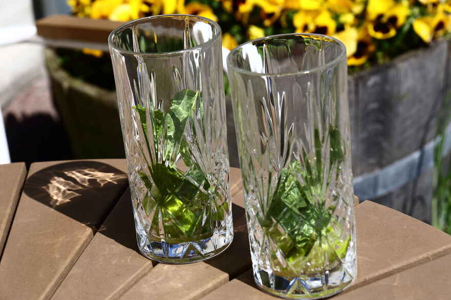 Mojito ... klik for at komme tilbage