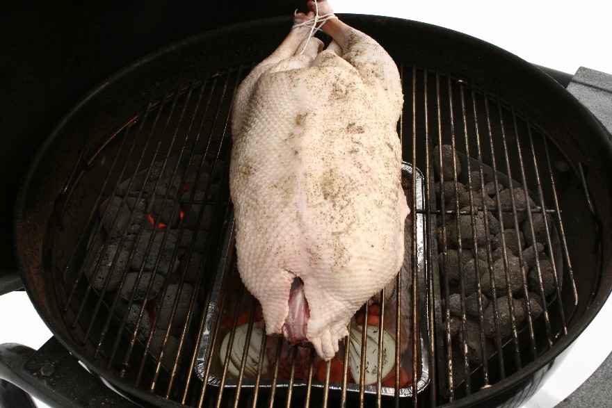 Gås på grill ... klik for at komme tilbage