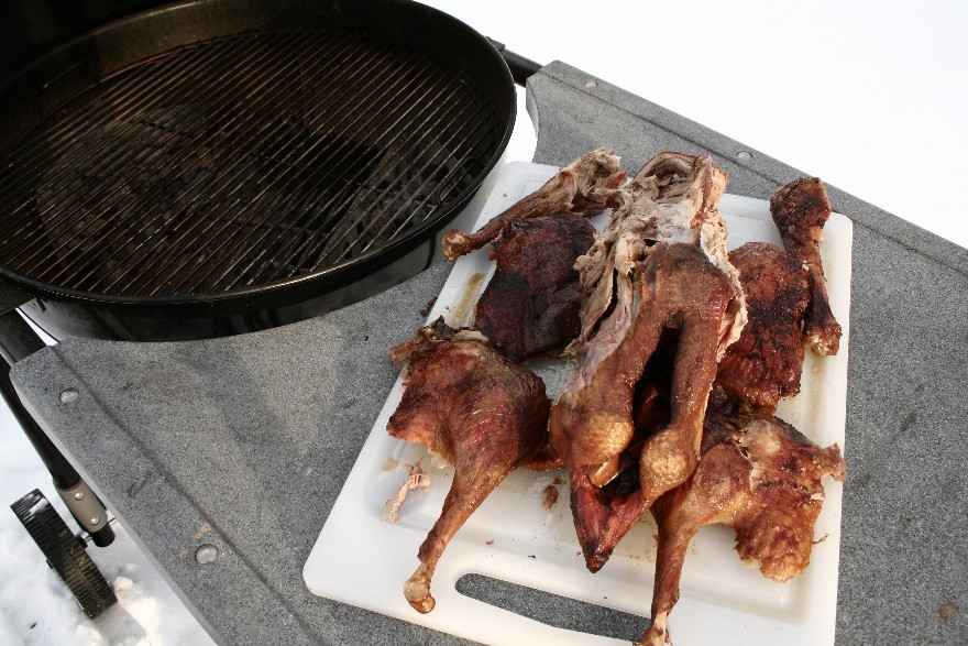 Gås på grill ... klik for at komme tilbage