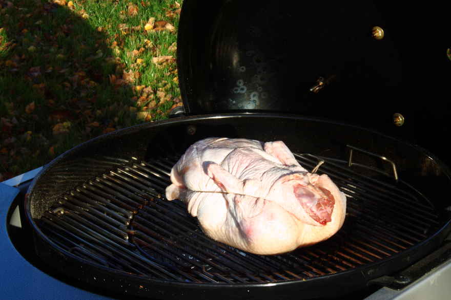 Grillet andesteg med æbler og svesker ... klik for at komme tilbage