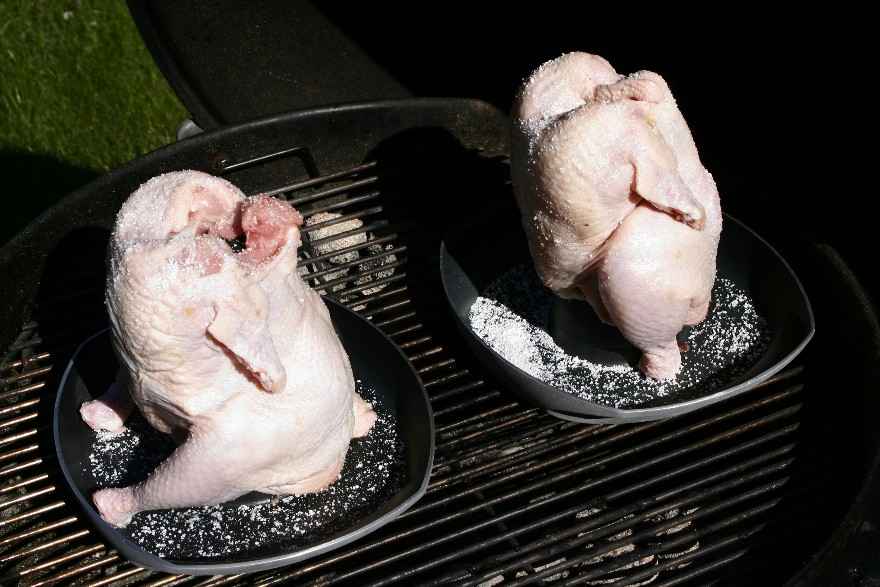 Zoologisk have Uretfærdighed tvilling kylling på grillen (på øldåse) - opskrift - Alletiders Kogebog