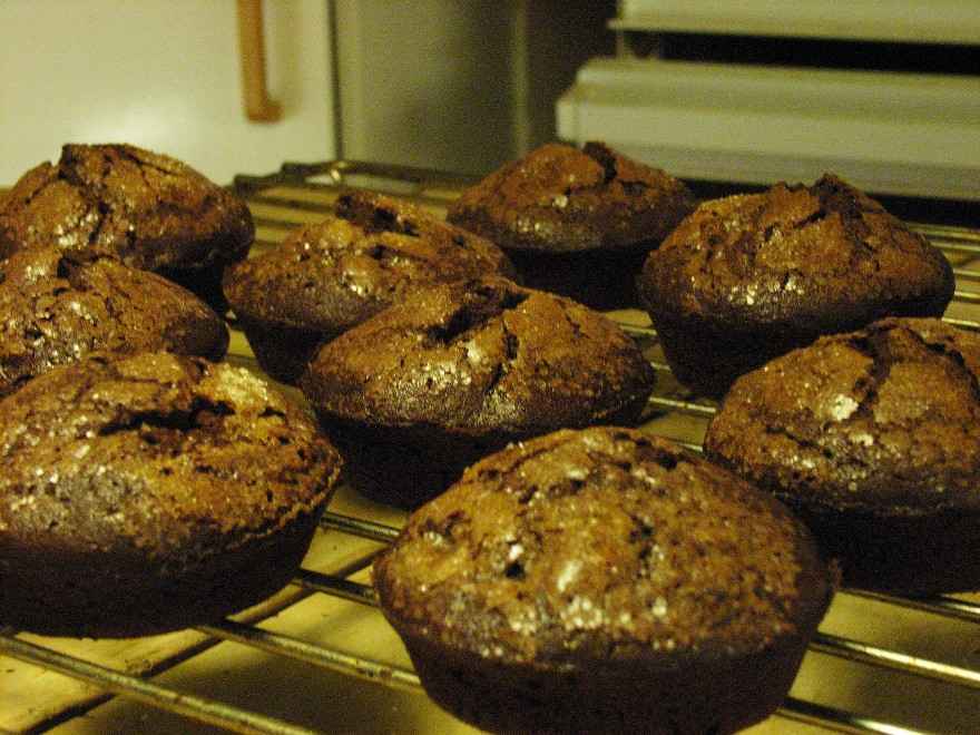 Chokolade/kaffe muffins ... klik for at komme tilbage