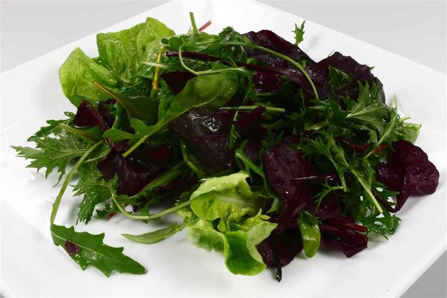 Grøn salat med røget stenbider ... klik for at komme tilbage