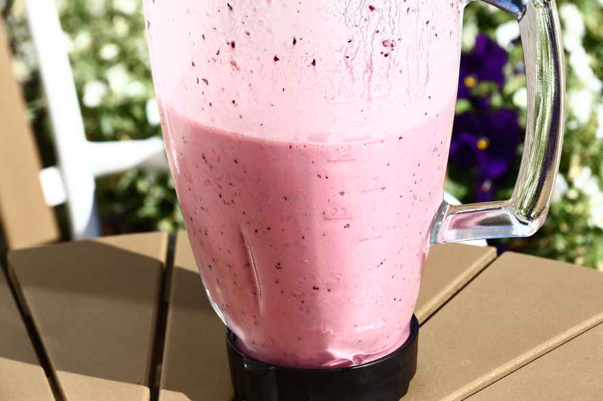 Solbær smoothie ... klik for at komme tilbage