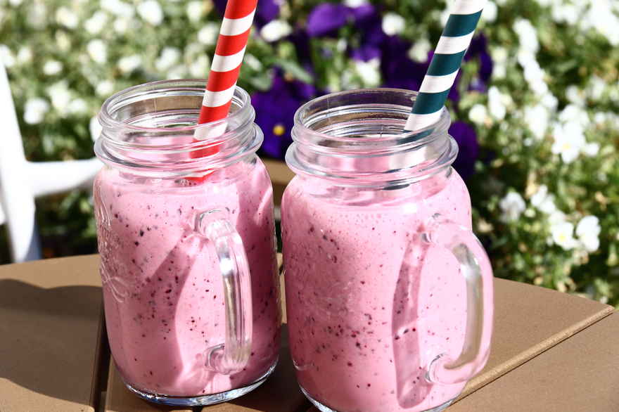 Solbær smoothie ... klik for at komme tilbage