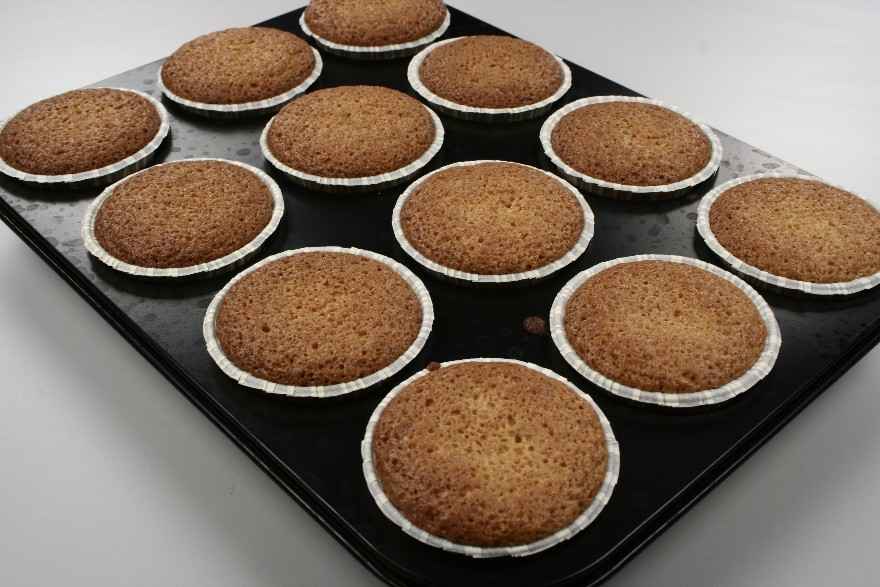 Skildpaddemuffins ... klik for at komme tilbage