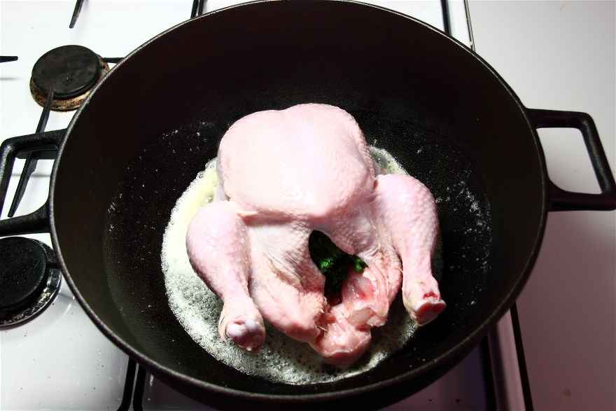 Gammeldags kylling med agurkesalat ... klik for at komme tilbage