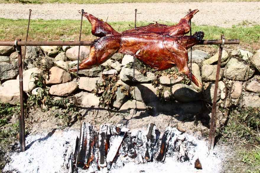 Helt grillet rådyr over bål - opskrift Alletiders Kogebog