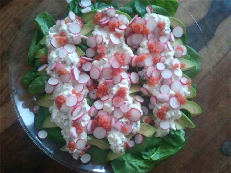 Avokadosalat 02 ... klik for at komme tilbage