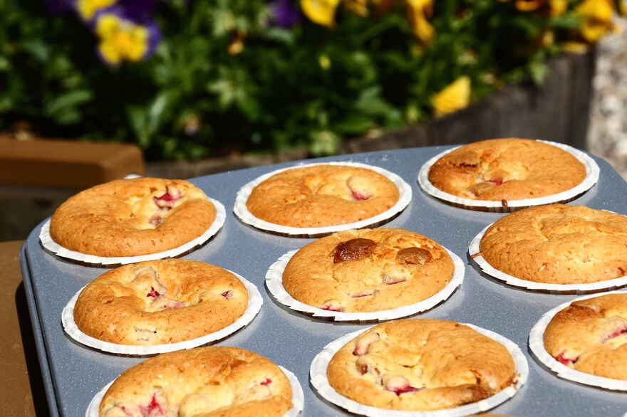 Rabarbermuffins med hvid chokolade ... klik for at komme tilbage