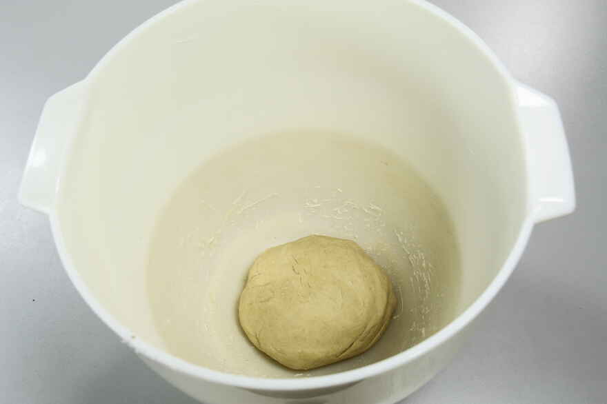 Dumplingdej ... klik for at komme tilbage