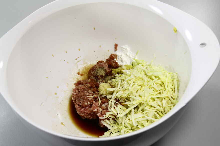 Dumplings med svinekød ... klik for at komme tilbage