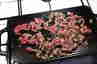 Philly Cheesesteaks sandwich, billede 2 Philly Cheesesteaks sandwich, billede 2