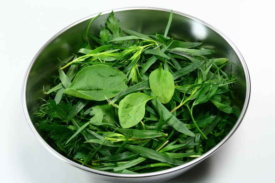 Ravigotte - Sauce Ravigote ... klik for at komme tilbage