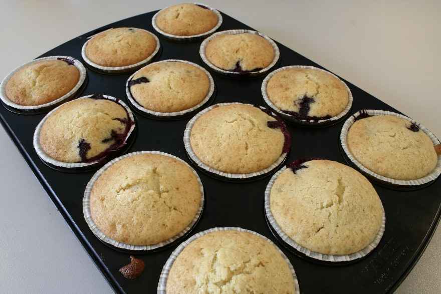 Blåbærmuffins ... klik for at komme tilbage