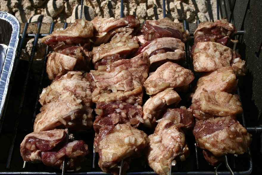 Shish kebab ... klik for at komme tilbage