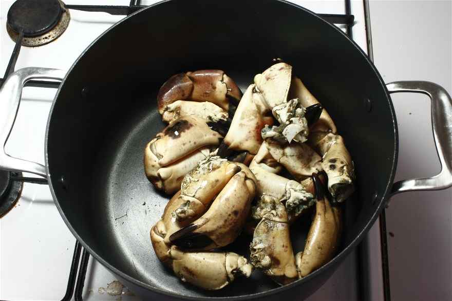 Krabbekløer med to slags kold sauce ... klik for at komme tilbage