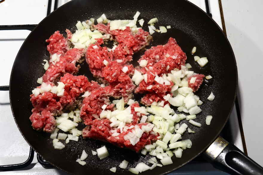Tortilla med oksekød ... klik for at komme tilbage