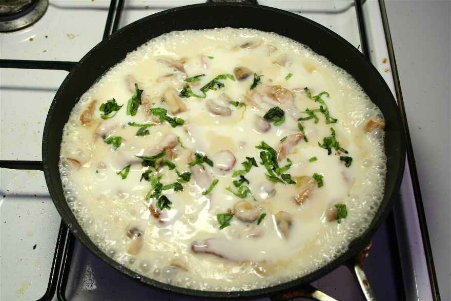 Cremet pasta med Kalkun ... klik for at komme tilbage